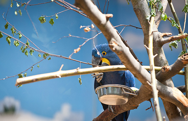 在线呼死你轰炸