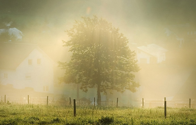 智慧且具有前瞻性的云拨短信app